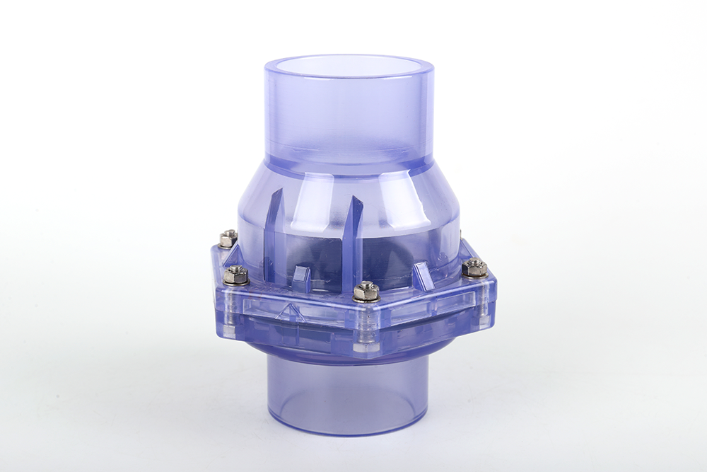 长洲透明翻板式止回阀